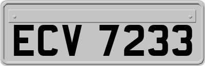 ECV7233