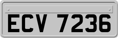 ECV7236