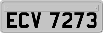 ECV7273