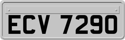 ECV7290