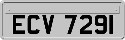 ECV7291