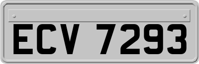 ECV7293