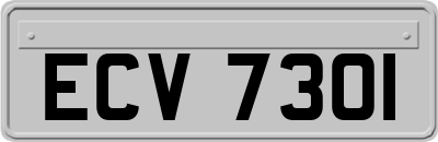 ECV7301