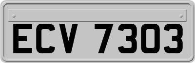 ECV7303