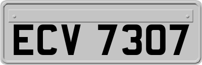ECV7307