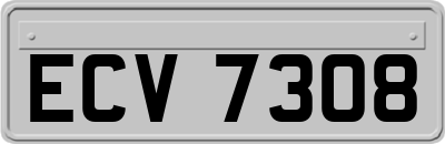 ECV7308