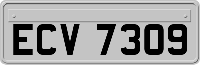 ECV7309