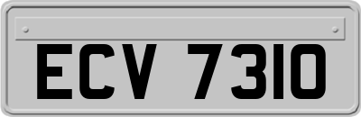 ECV7310