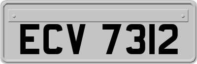 ECV7312