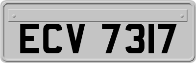 ECV7317