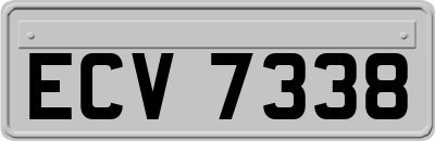 ECV7338