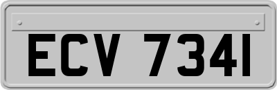 ECV7341