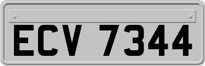 ECV7344