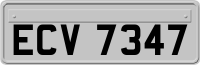 ECV7347