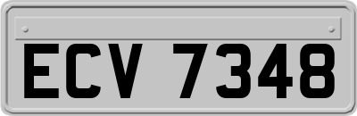 ECV7348
