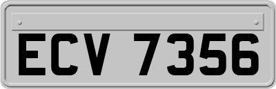 ECV7356
