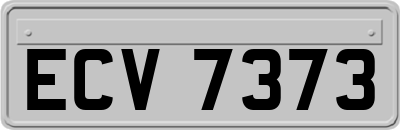 ECV7373