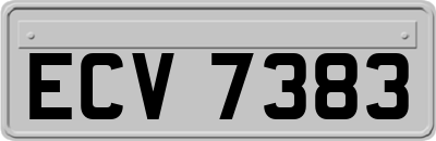 ECV7383