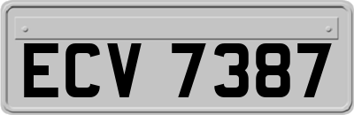 ECV7387