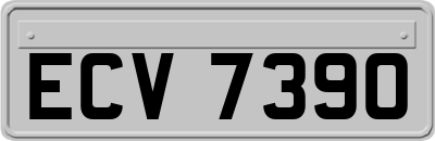 ECV7390