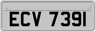 ECV7391