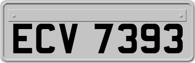ECV7393