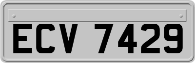ECV7429