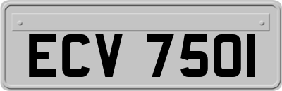 ECV7501