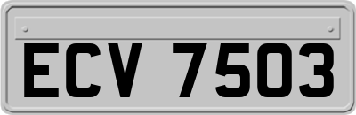 ECV7503