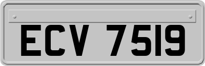 ECV7519