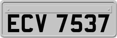 ECV7537