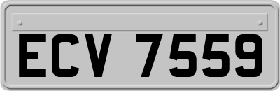 ECV7559