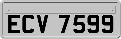 ECV7599