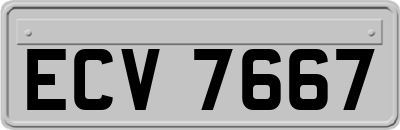 ECV7667