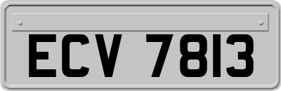 ECV7813