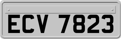 ECV7823