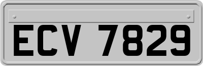 ECV7829