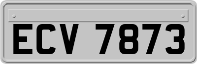 ECV7873