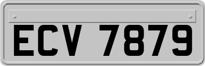 ECV7879