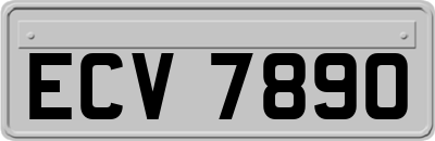 ECV7890