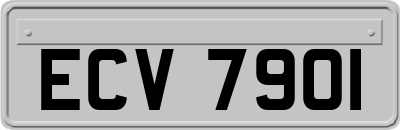 ECV7901