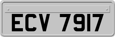 ECV7917