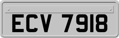 ECV7918