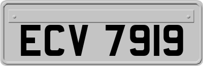 ECV7919
