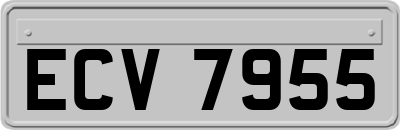 ECV7955