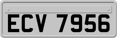 ECV7956
