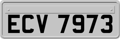 ECV7973