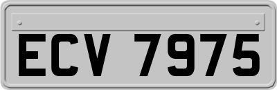 ECV7975
