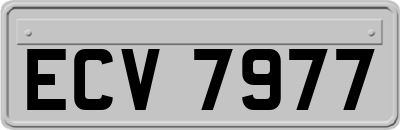 ECV7977