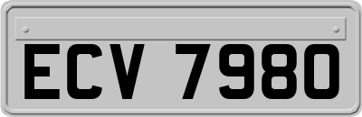 ECV7980